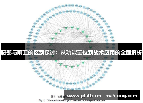 腰部与前卫的区别探讨：从功能定位到战术应用的全面解析