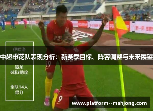 中超申花队表现分析：新赛季目标、阵容调整与未来展望