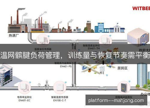 温网髌腱负荷管理，训练量与恢复节奏需平衡